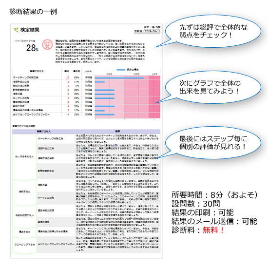 診断結果の一例 診断結果の一例